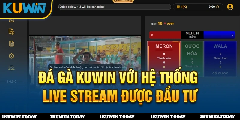 Đá gà KUWIN được đầu tư hệ thống live stream hiện đại